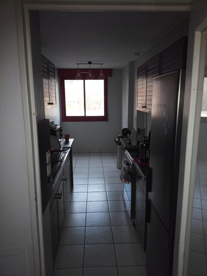 Apartament -- Le Refuge, A 50 Metres De La Gare -- Grenoble Zewnętrze zdjęcie