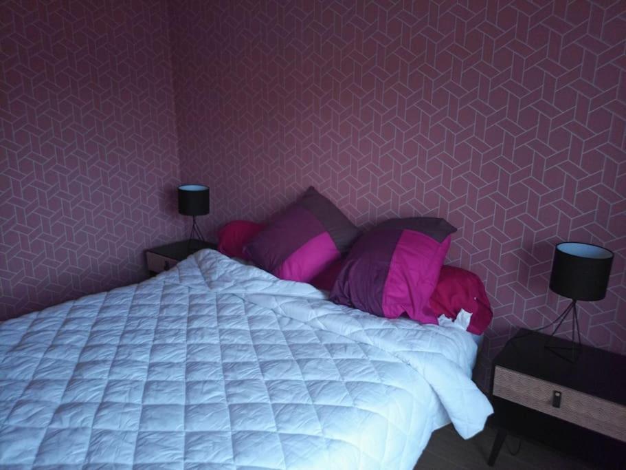 Apartament -- Le Refuge, A 50 Metres De La Gare -- Grenoble Zewnętrze zdjęcie