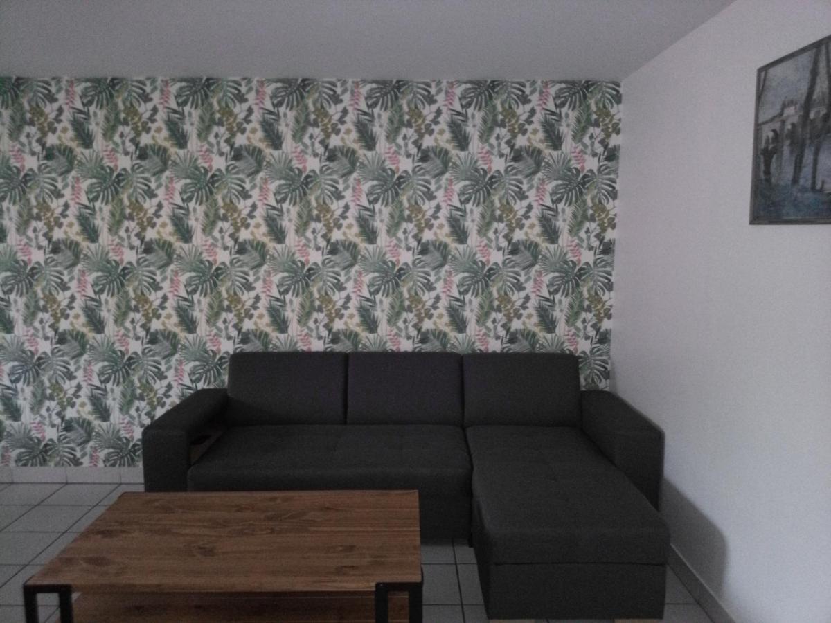 Apartament -- Le Refuge, A 50 Metres De La Gare -- Grenoble Zewnętrze zdjęcie