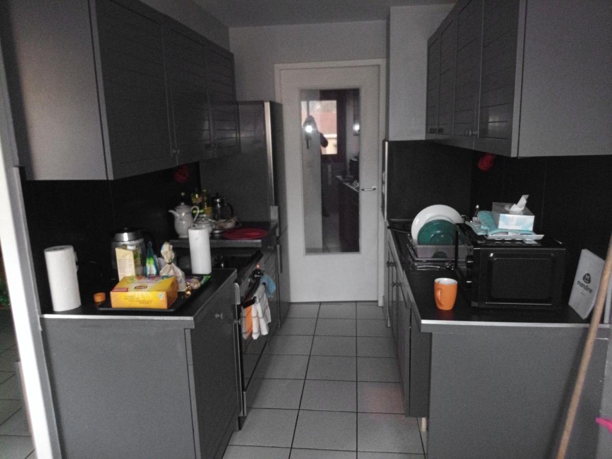 Apartament -- Le Refuge, A 50 Metres De La Gare -- Grenoble Zewnętrze zdjęcie