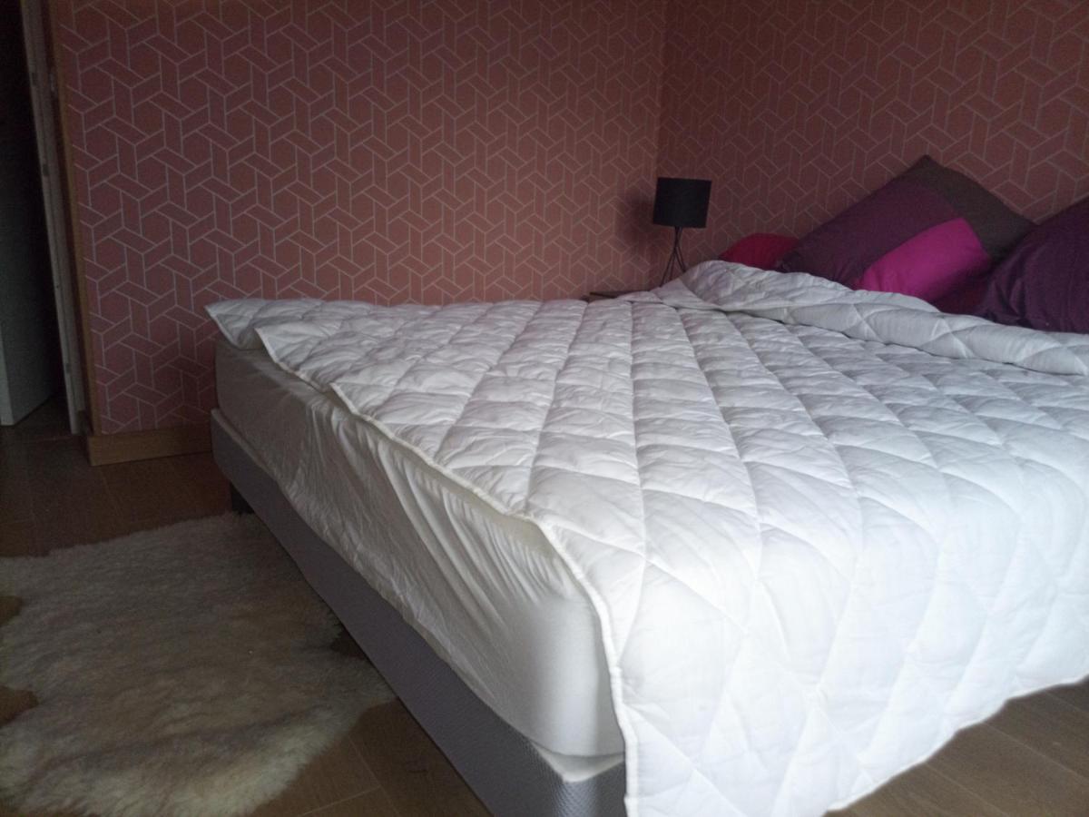 Apartament -- Le Refuge, A 50 Metres De La Gare -- Grenoble Zewnętrze zdjęcie