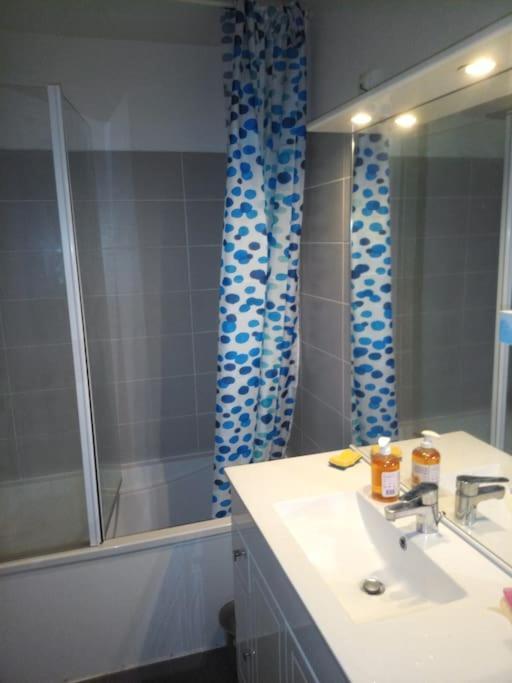 Apartament -- Le Refuge, A 50 Metres De La Gare -- Grenoble Zewnętrze zdjęcie