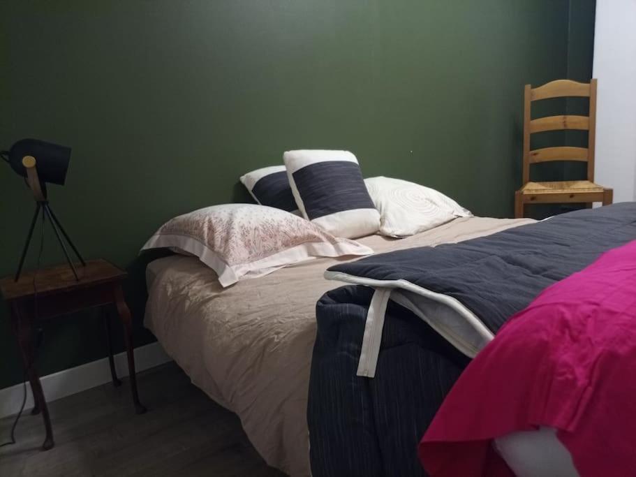 Apartament -- Le Refuge, A 50 Metres De La Gare -- Grenoble Zewnętrze zdjęcie